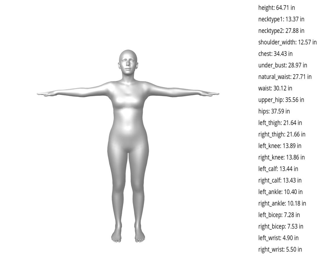 3D parametric body model with measurements
