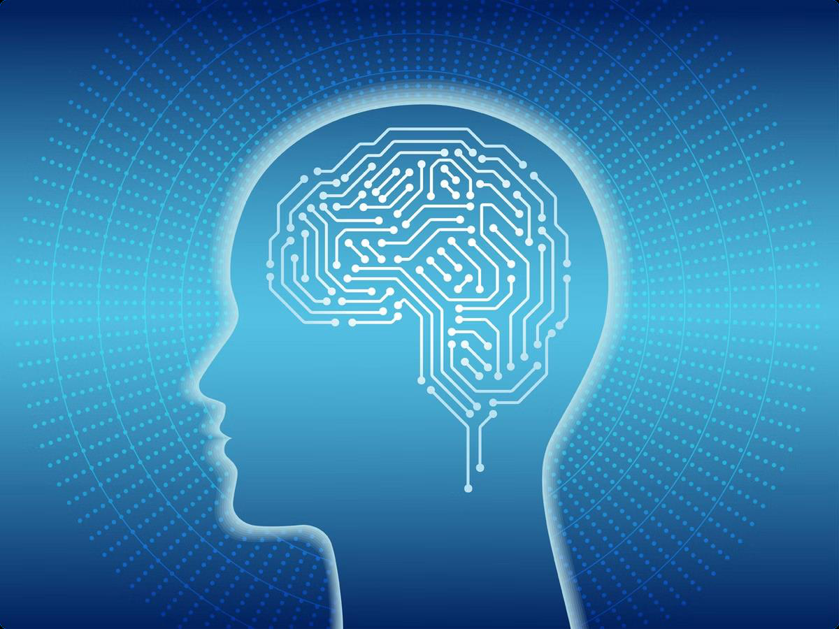 AI neural circuit brain